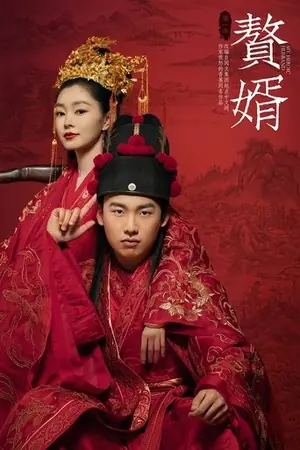 《赘婿》2021剧情喜剧剧集海报