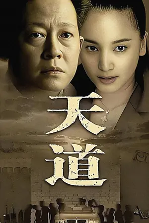 《天道》2008剧情剧集海报