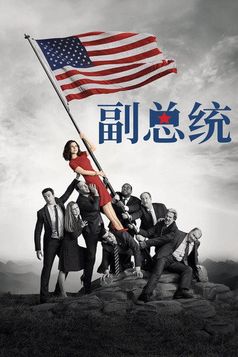副总统