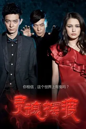 《灵魂摆渡》2014悬疑剧情剧集海报