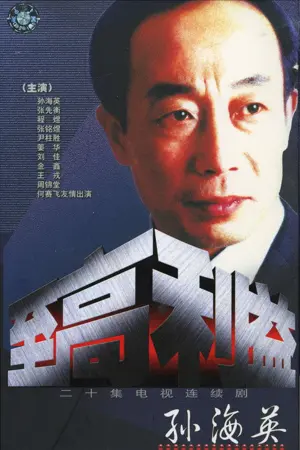 《至高利益》2003剧情剧集海报