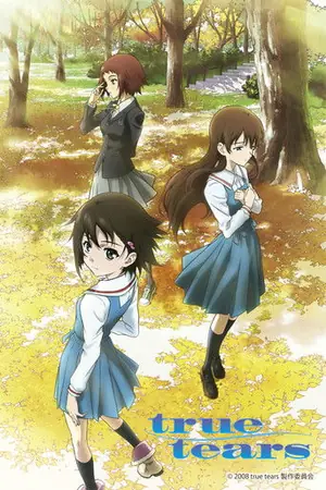 《真实之泪》2008动画剧情剧集海报