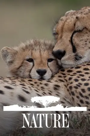 自然