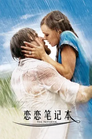 《恋恋笔记本》2004爱情剧情电影海报