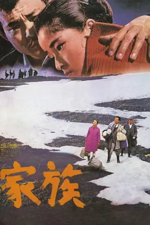 《家族》1970剧情电影海报