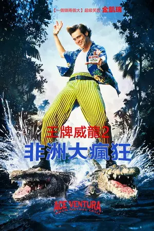 《神探飞机头2》1995犯罪喜剧电影海报