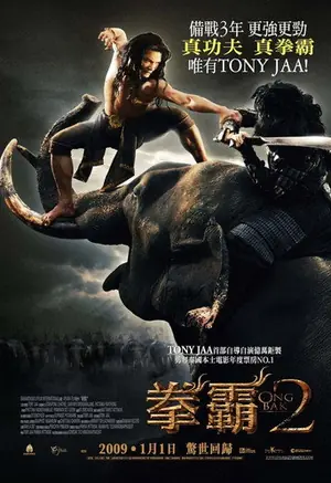 《拳霸2》2008冒险动作电影海报