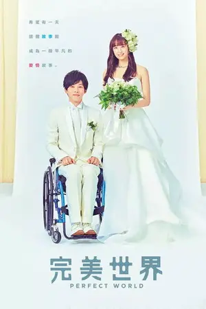 《完美的世界》2019剧情剧集海报