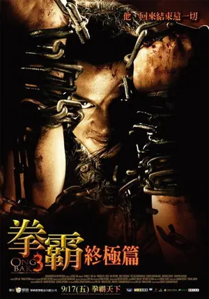 《拳霸3》2010动作冒险电影海报