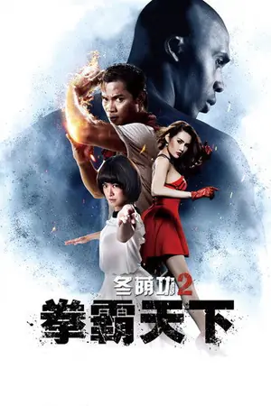 《冬荫功2:拳霸天下》2013动作电影海报