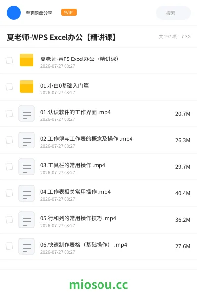 《夏老师-WPS Excel办公【精讲课】》教程网盘|学习资源网盘