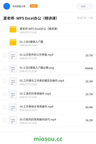 《夏老师- WPS Excel办公(精讲课)》人工智能学习资源封面
