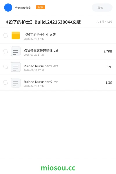 《《毁了的护士》Build.24216300中文版》游戏网盘|学习资源网盘