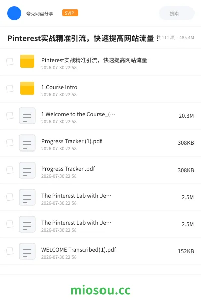 《Pinterest实战精准引流,快速提高网站流量!》网赚网盘|学习资源网盘
