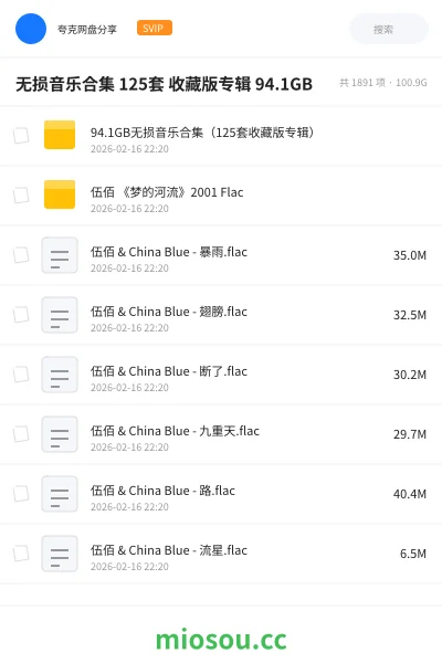《无损音乐合集 125套 收藏版专辑 94.1GB》音乐学习资源封面