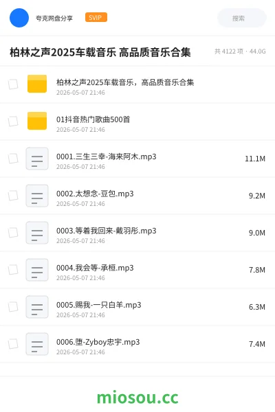 《柏林之声2025车载音乐 高品质音乐合集》音乐网盘|学习资源网盘