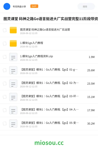 《图灵课堂 码神之路Go语言挺进大厂实战营完整11阶段带资料》编程学习资源封面