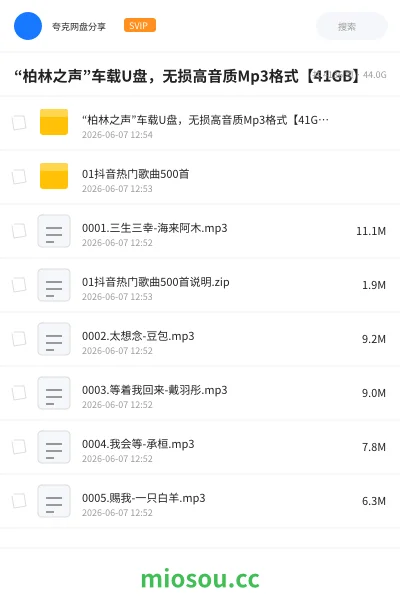 《“柏林之声”车载U盘，无损高音质Mp3格式【41GB】》音乐网盘｜学习资源网盘