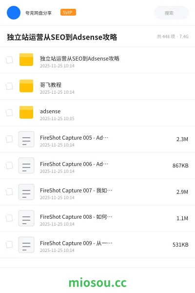 《独立站运营从SEO到Adsense攻略》人工智能网盘｜学习资源网盘