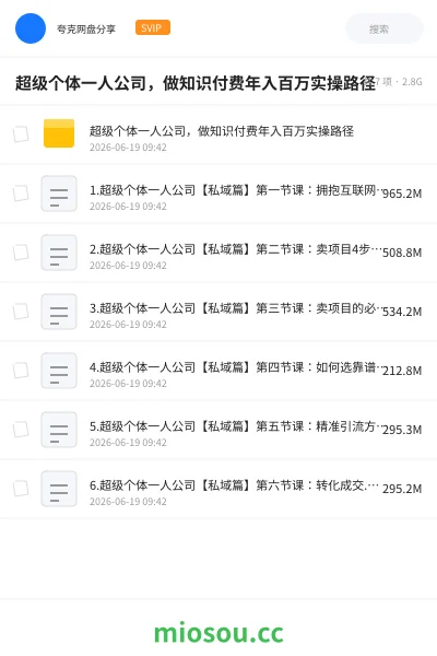 《超级个体一人公司,做知识付费年入百万实操路径》人工智能网盘|学习资源网盘