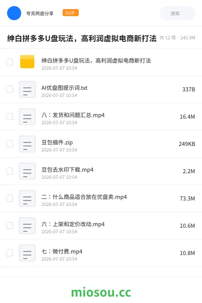 《绅白拼多多U盘玩法，高利润虚拟电商新打法》人工智能网盘｜学习资源网盘