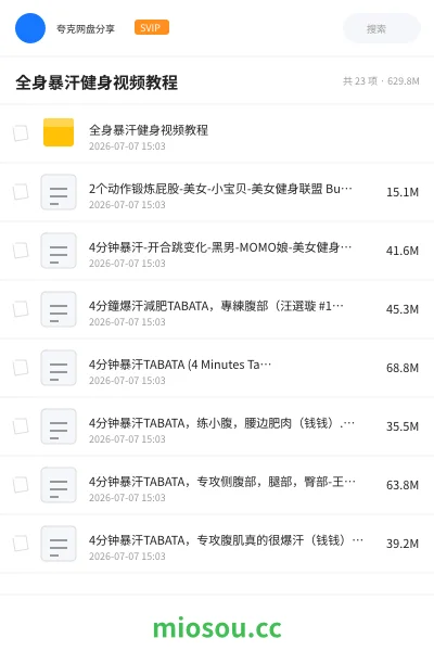 《全身暴汗健身视频教程》教程学习资源封面