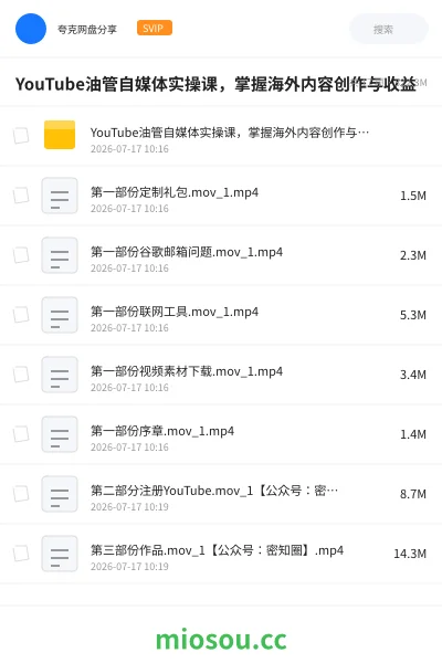 《YouTube油管自媒体实操课 ,掌握海外内容创作与收益》人工智能网盘|学习资源网盘