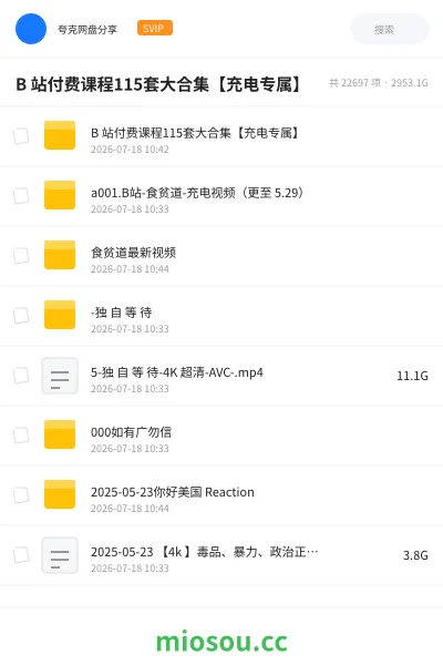 《B 站付费课程115套大合集【充电专属】》人工智能网盘|学习资源网盘